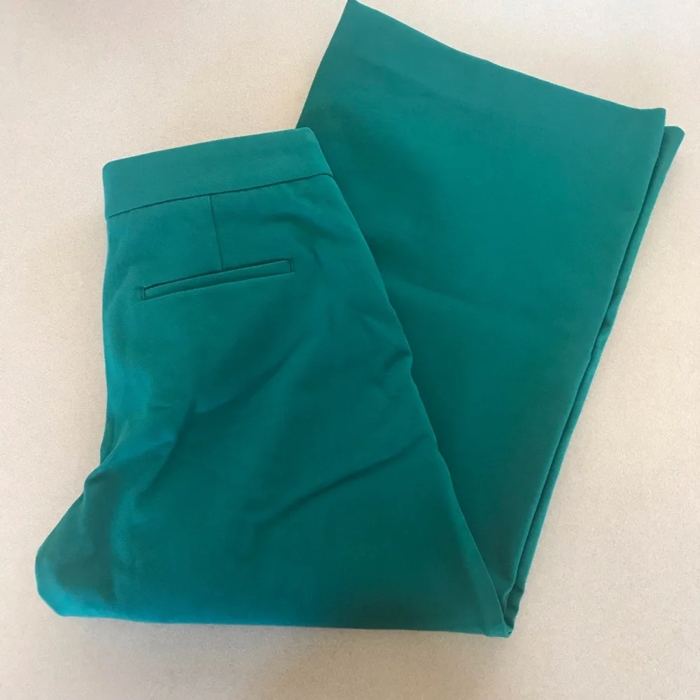 Ann taylor green cullottes - Picture 4 of 4